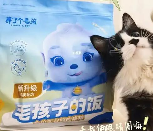 口粮！三只松鼠靠什么重返宠物食品赛道pg电子模拟器试玩零食巨头盯上毛孩子(图3)