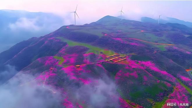 同时吃进宠物龙头社保新近2个被套牢pg电子游戏网站周末最新社保和高盛(图1)